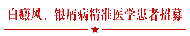 春城晚报(微信)