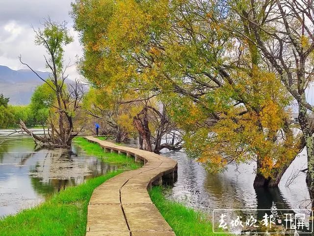 春城晚报(微信)