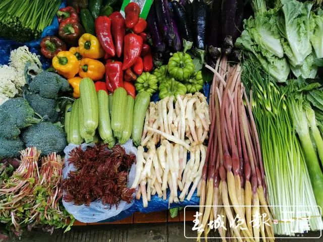 春城晚报(微信)