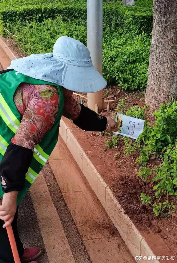 富民县开展公园绿地红火蚁防控消杀工作