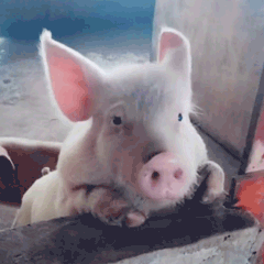 “昆明市西山区发布”微博