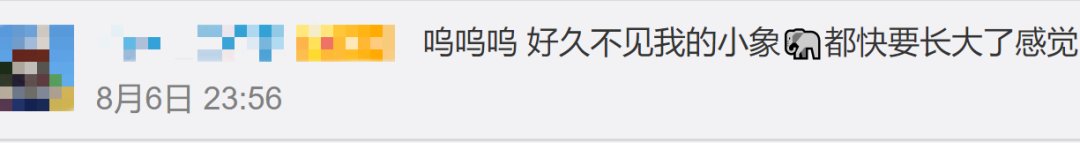 玉溪发布(微信)