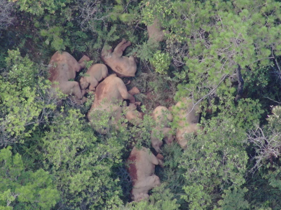 玉溪发布(微信)