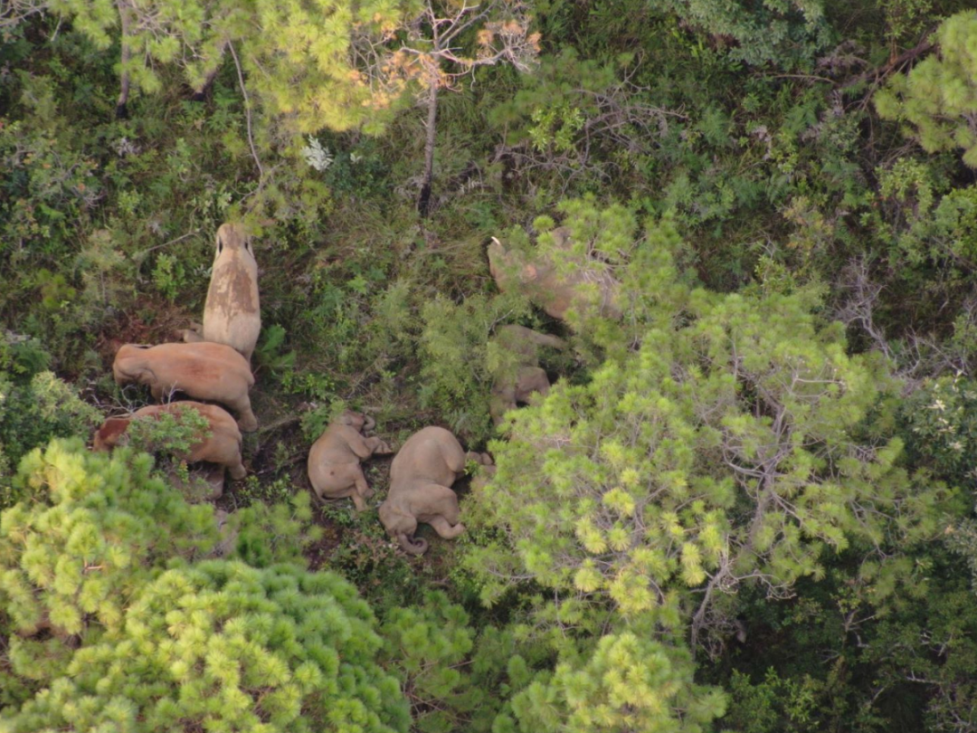 玉溪发布(微信)