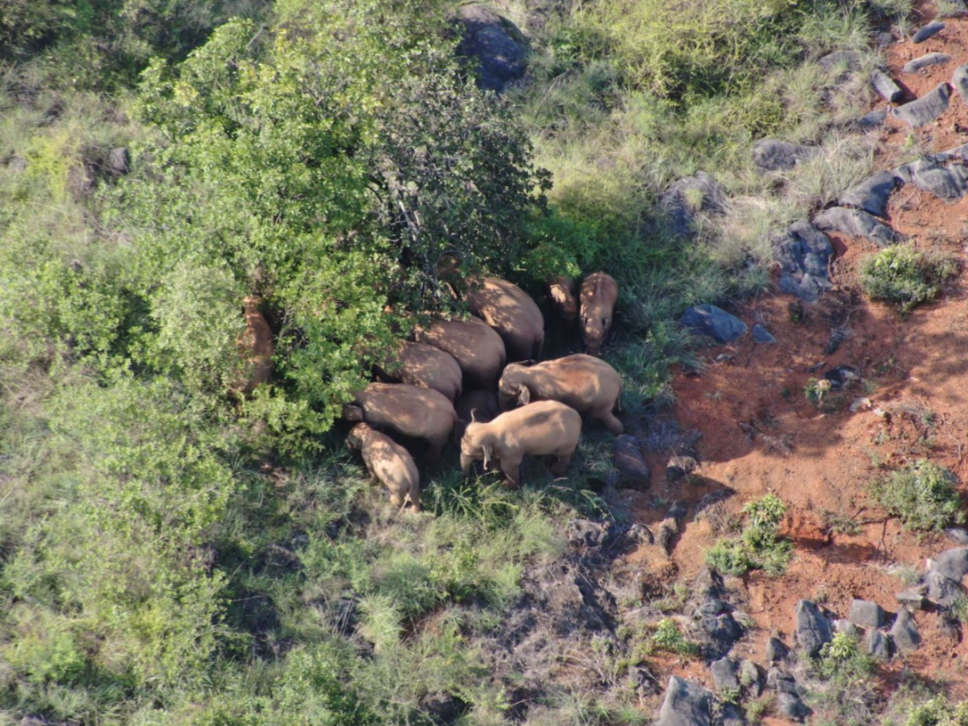 玉溪发布(微信)