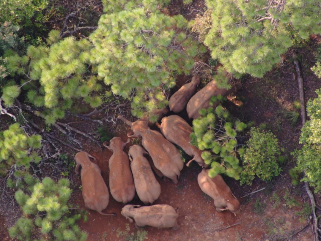 玉溪发布(微信)