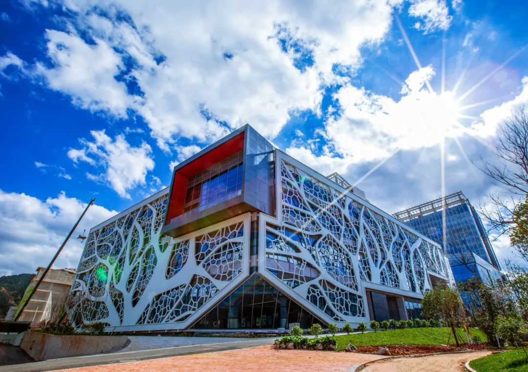 云南省人民政府网