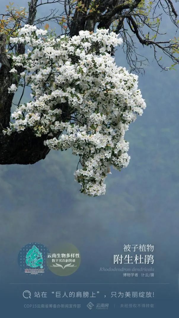 云南省人民政府网