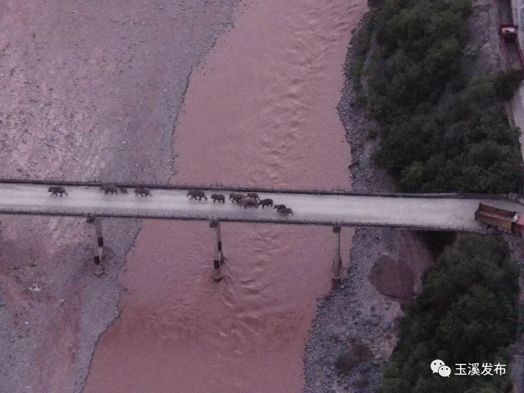 玉溪发布(微信)