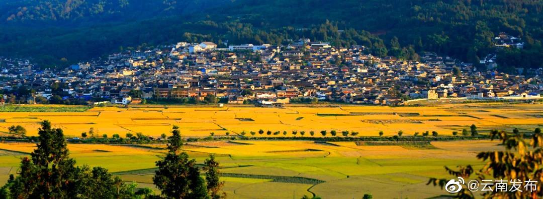 云南环境空气质量预报