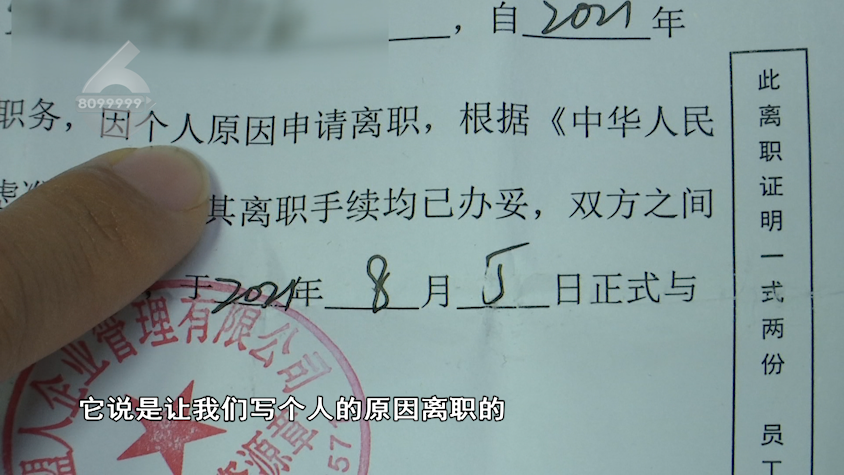 掌上春城(微信)