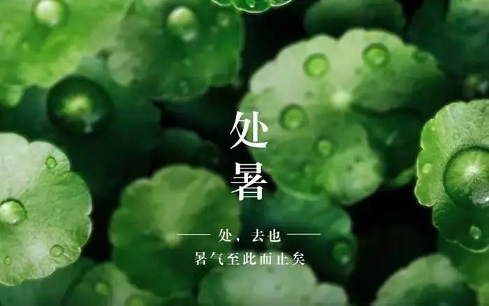 云南野生动物园(微信)