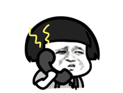 云南政法(微信)