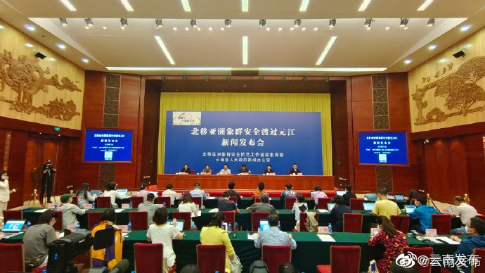 兑付保险金216.48万元！亚洲象肇事相关理赔工作正有序推进