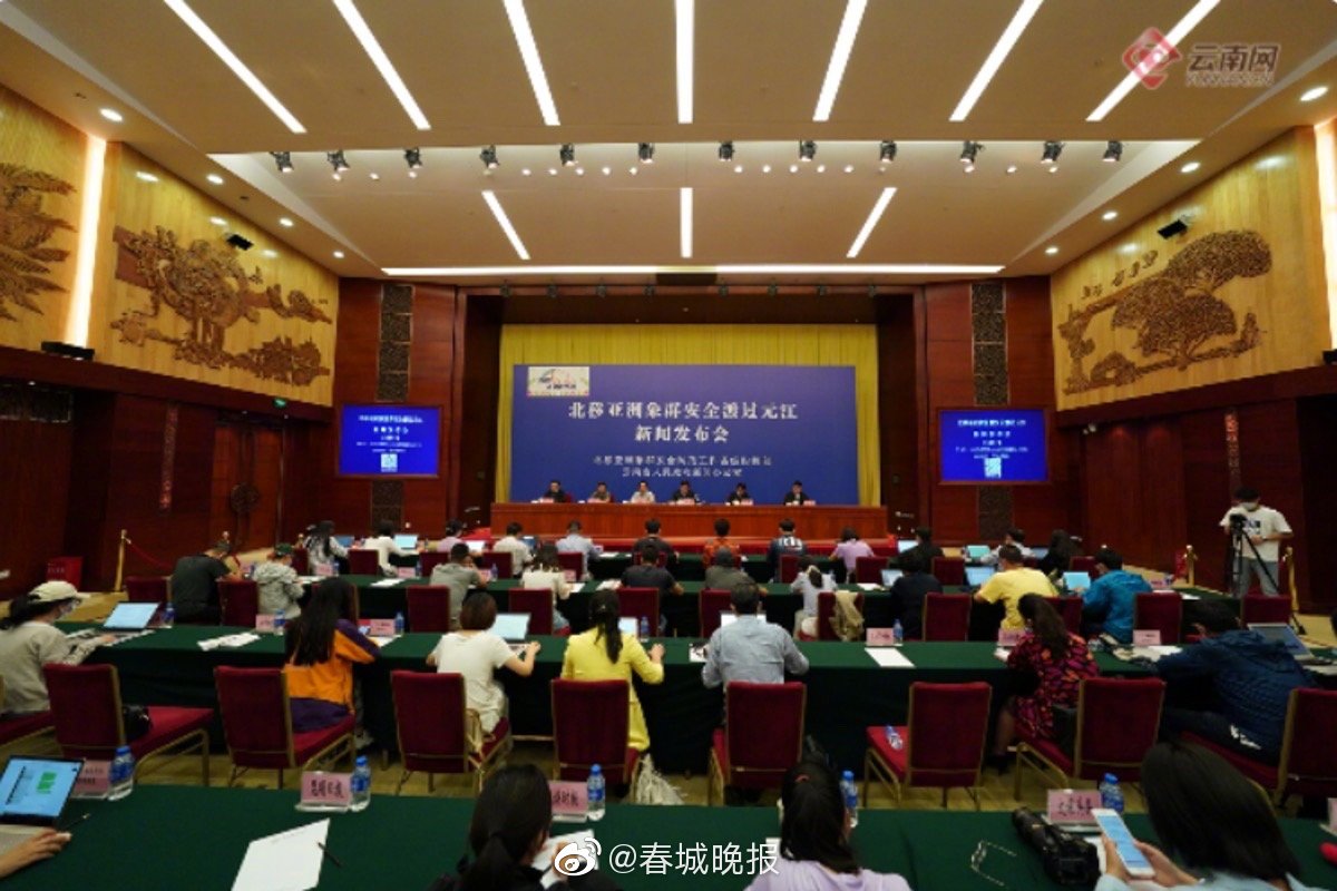 云南将总结经验，防止亚洲象再次向元江以北迁移