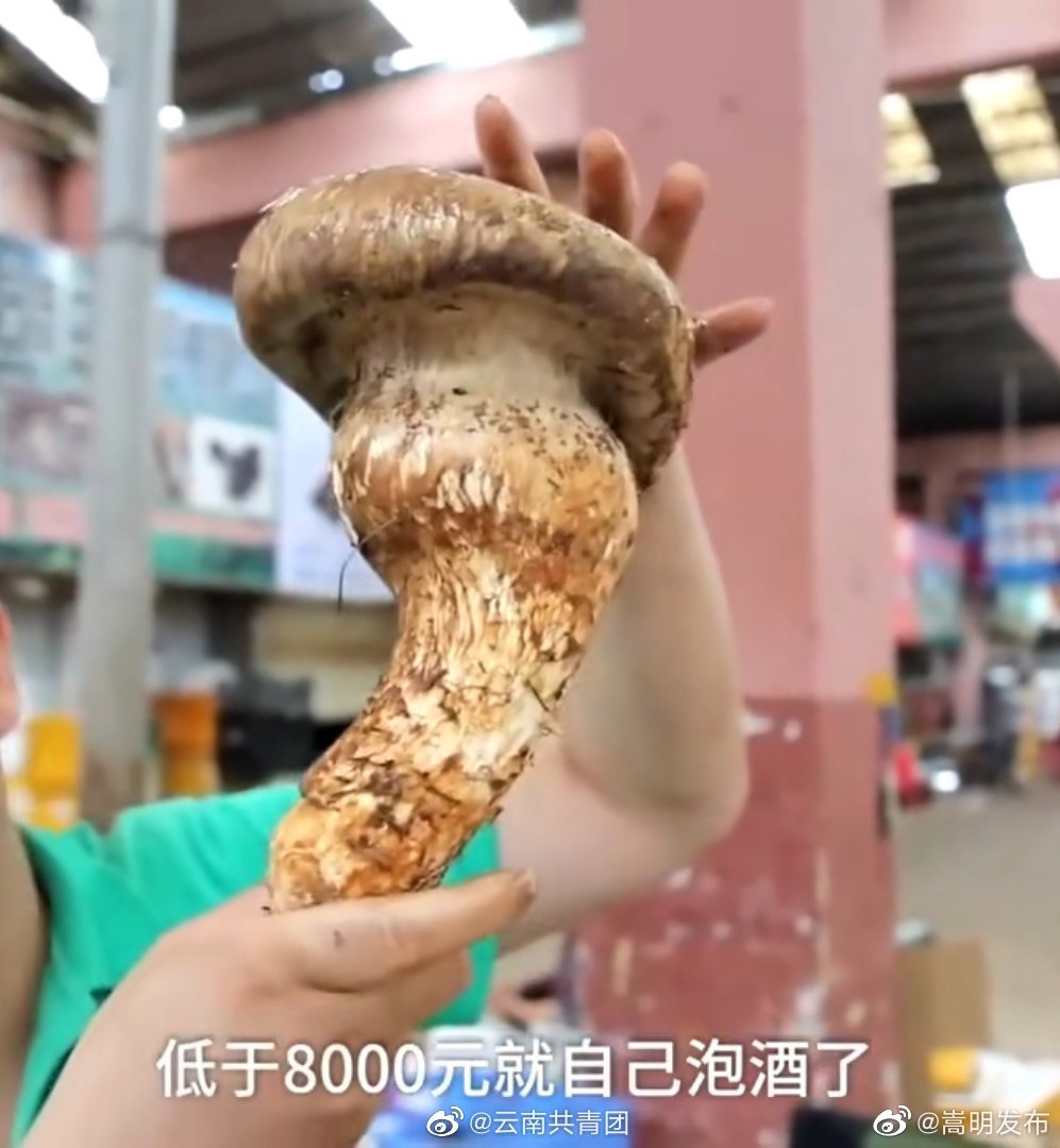 “嵩明发布”微博