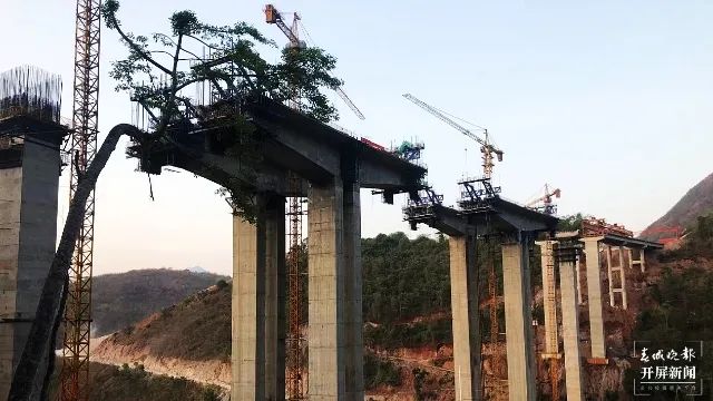 春城晚报(微信)