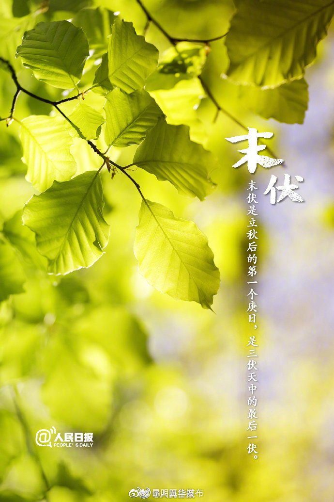 “昆明五华发布”微博