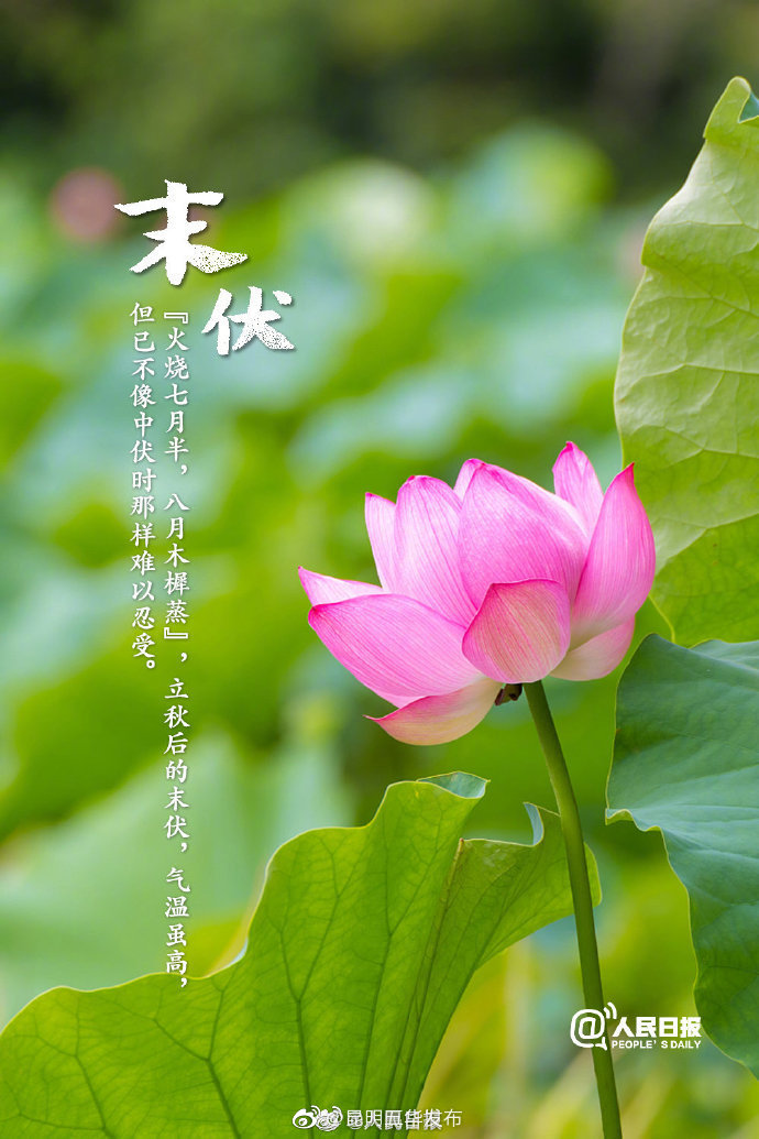 “昆明五华发布”微博