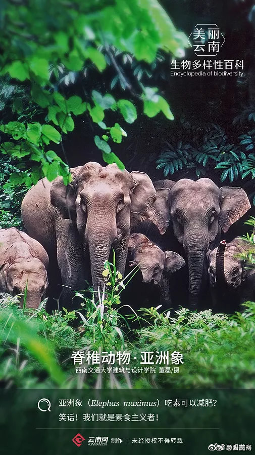 “嵩明发布”微博