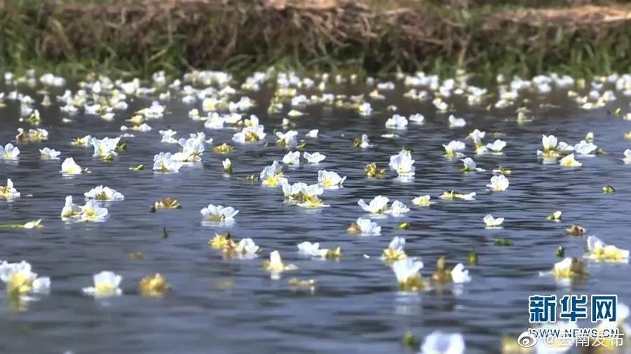 “云南发布”微博