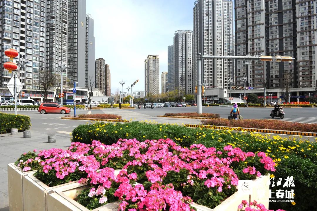 掌上春城(微信)