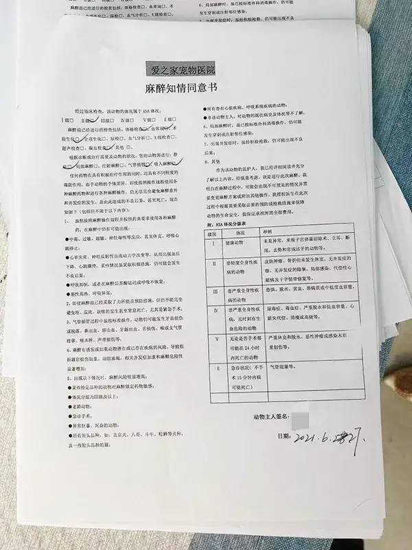 掌上春城(微信)