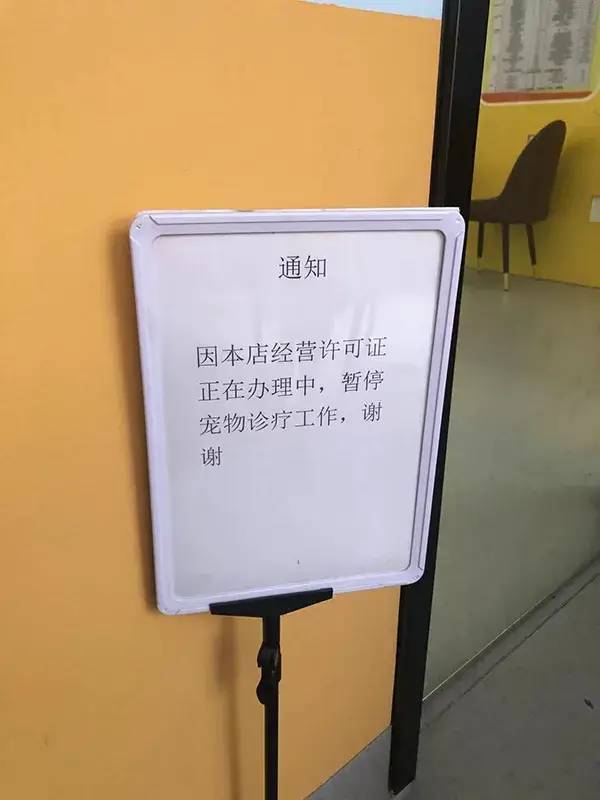 掌上春城(微信)