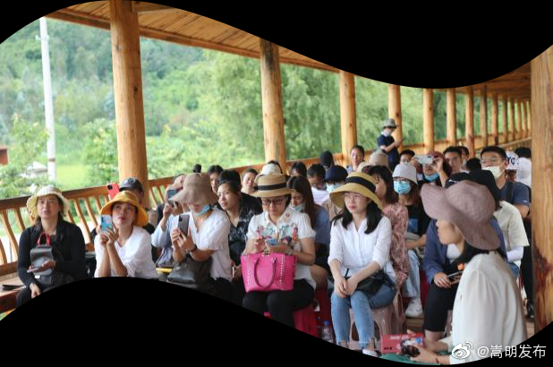 “嵩明发布”微博