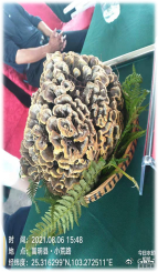 “嵩明发布”微博