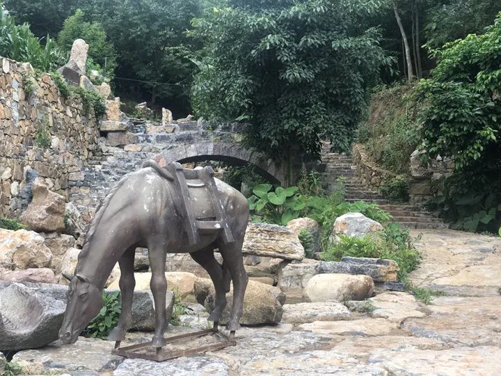 普洱日报(微信)