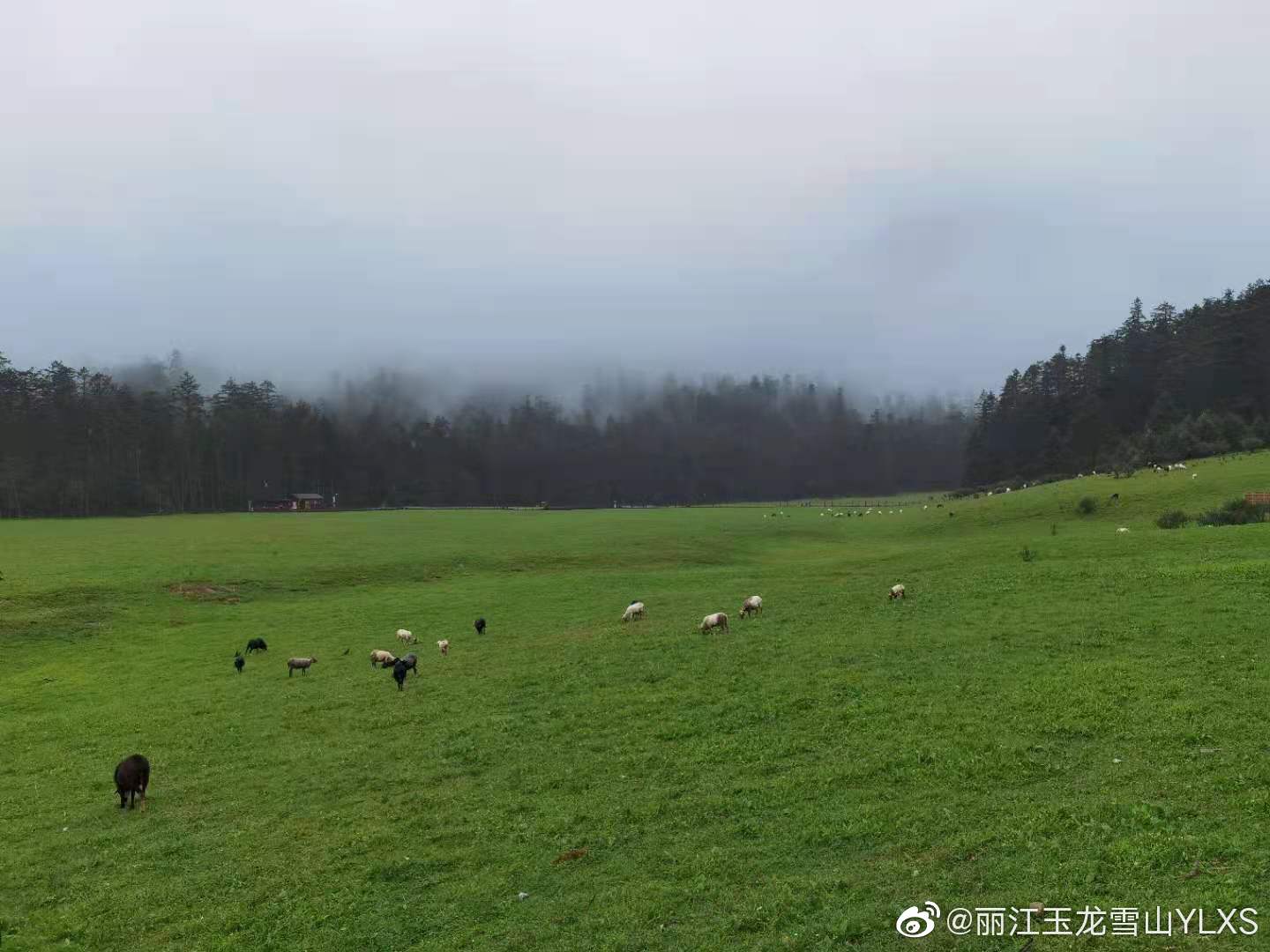丽江玉龙雪山YLXS微博