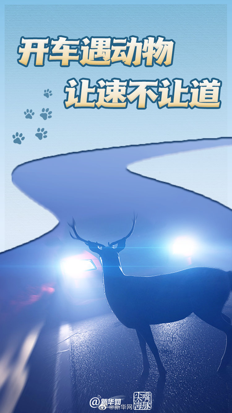 必要科普！驾车途中遇到动物让不让？