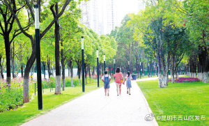 “昆明市西山区发布”微博