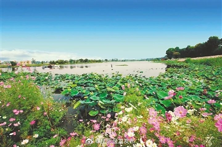 “昆明盘龙发布”微博