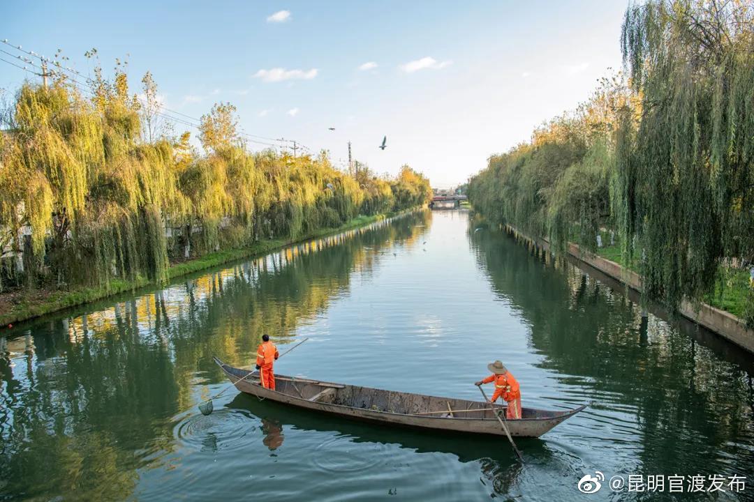 官渡区8月9日至10日汛情专报