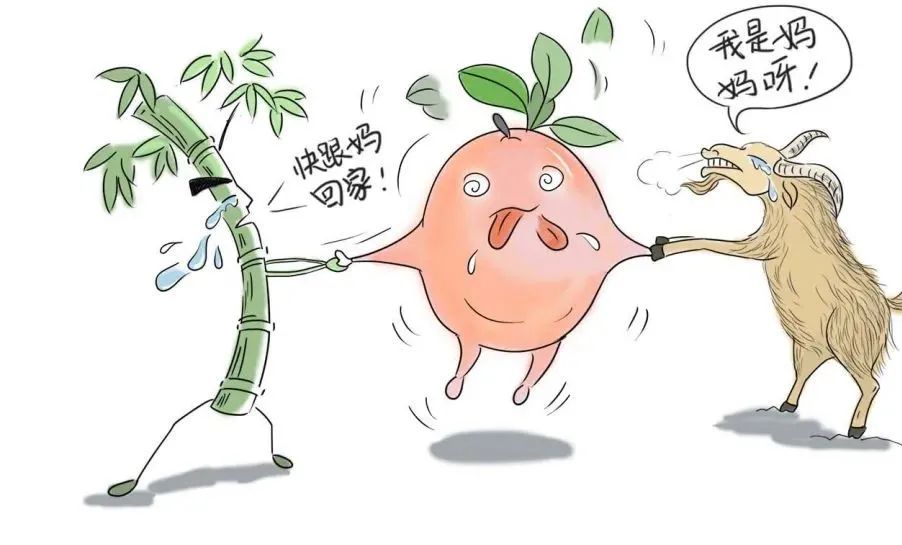 春城晚报(微信)