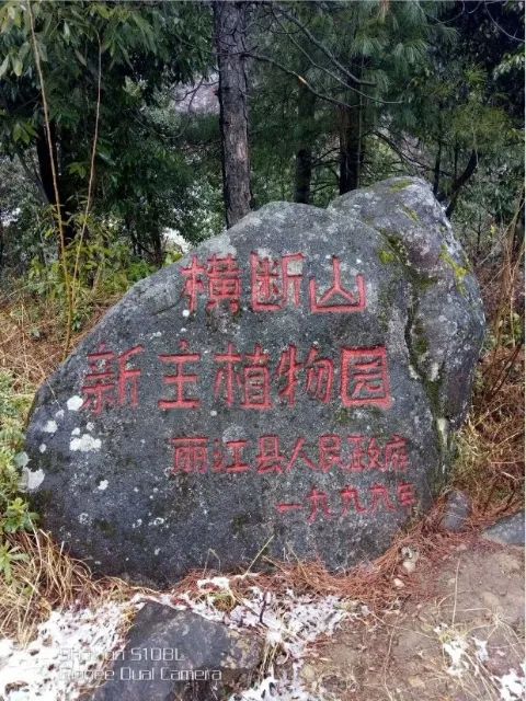 春城晚报(微信)