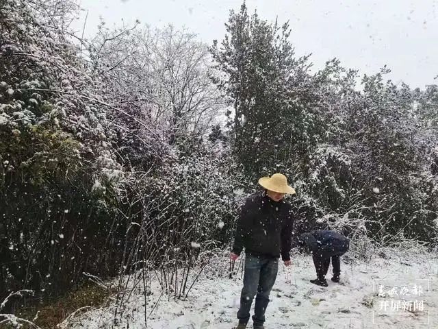 春城晚报(微信)