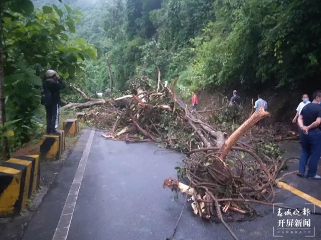 春城晚报(微信)