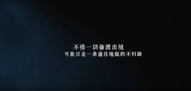 春城晚报(微信)