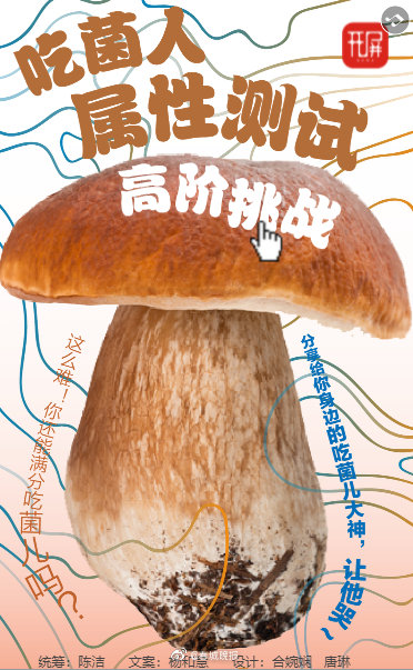 吃菌人高阶挑战来咯！你还能满分吃菌儿吗？