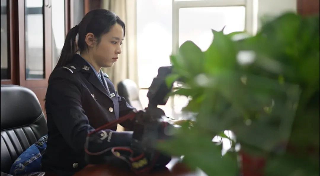 云南政法(微信)