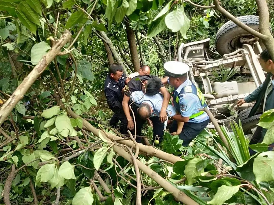 云南政法(微信)