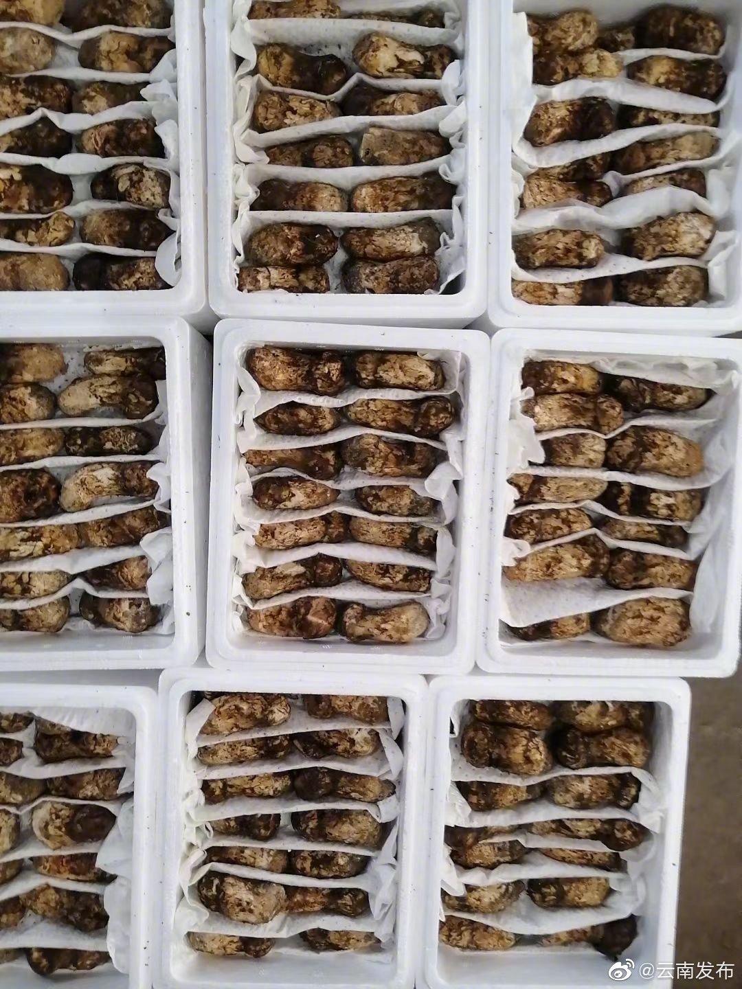 “云南发布”微博