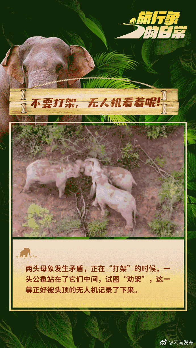 “云南发布”微博