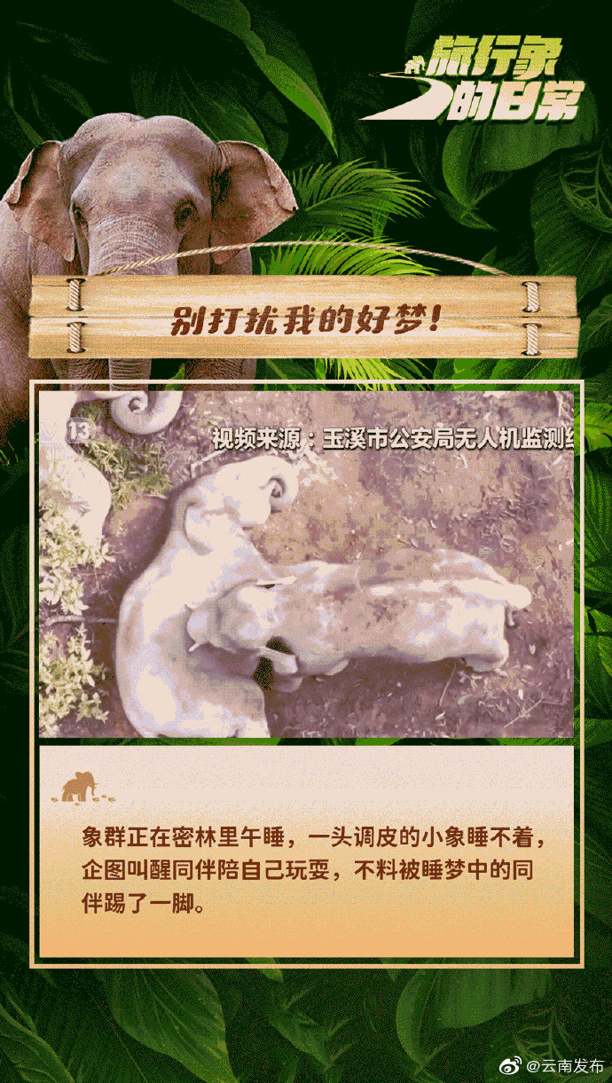 “云南发布”微博