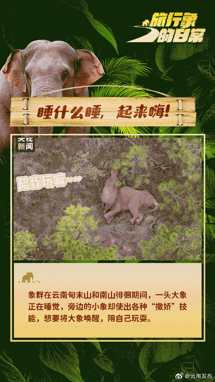 “云南发布”微博