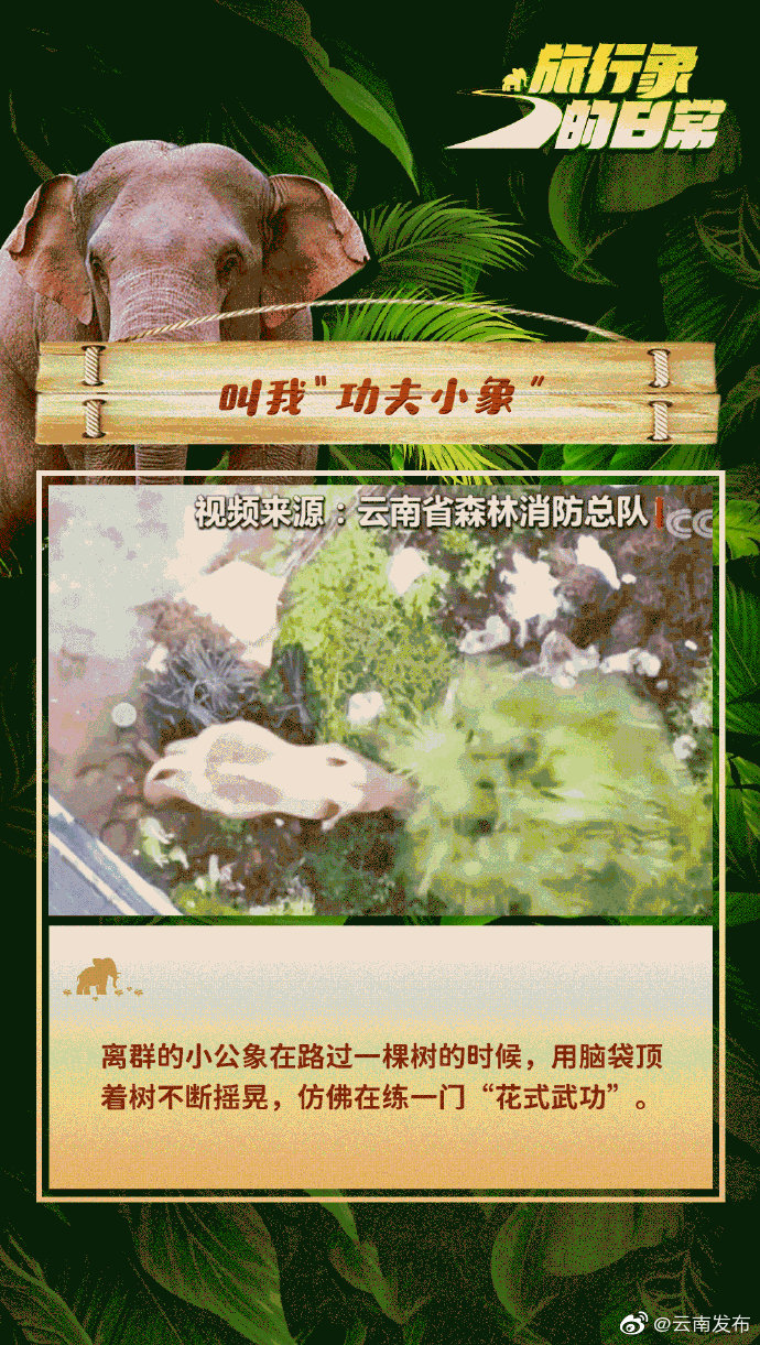 “云南发布”微博