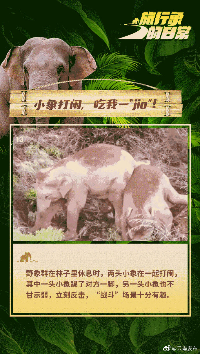 “云南发布”微博